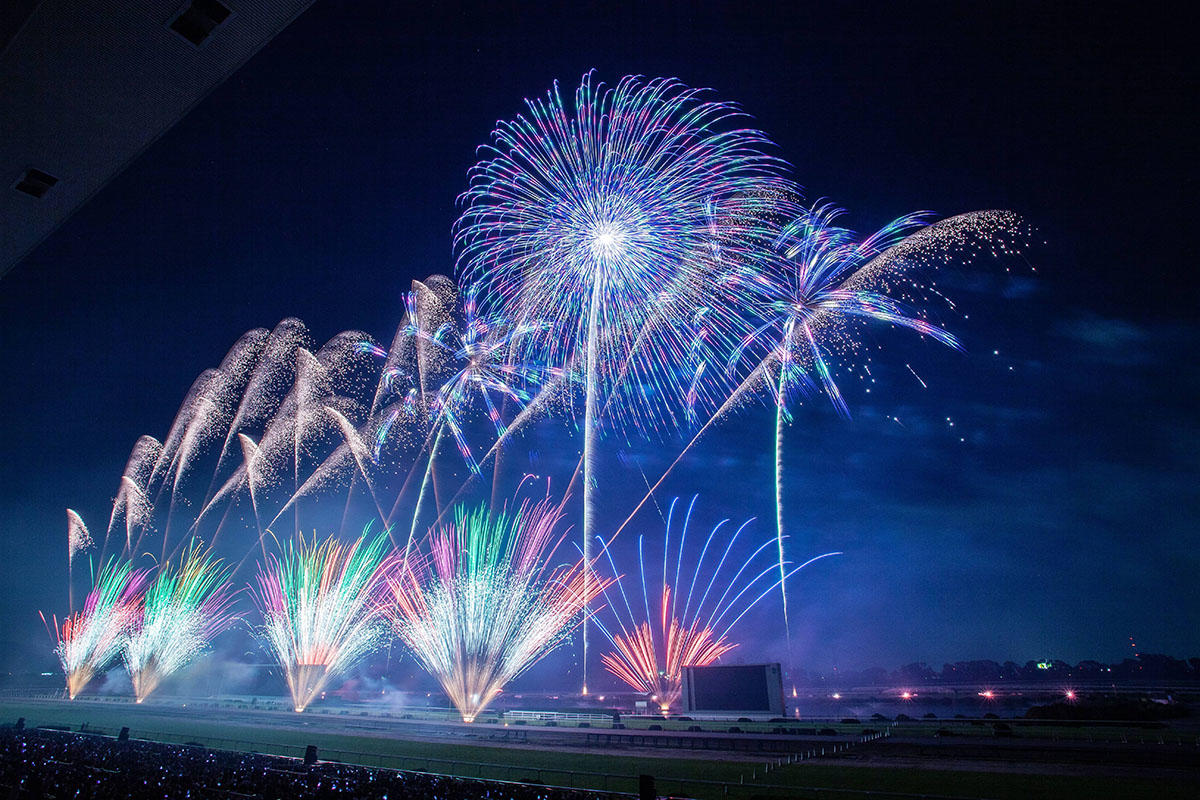 【速報】京都芸術花火2026、本日開催決定　台風6号の状況を確認・予定通り実施へ