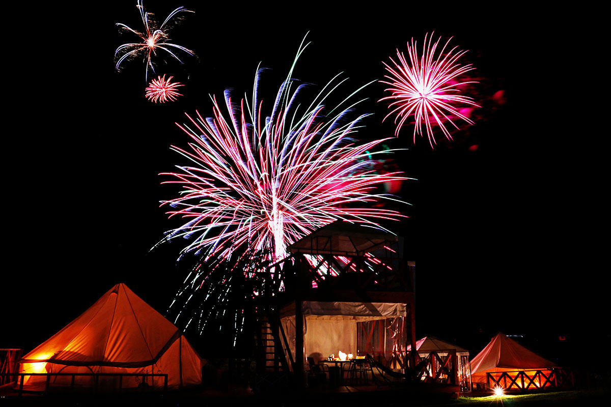 pic_mothersfarm-summernightfarm202602.jpg