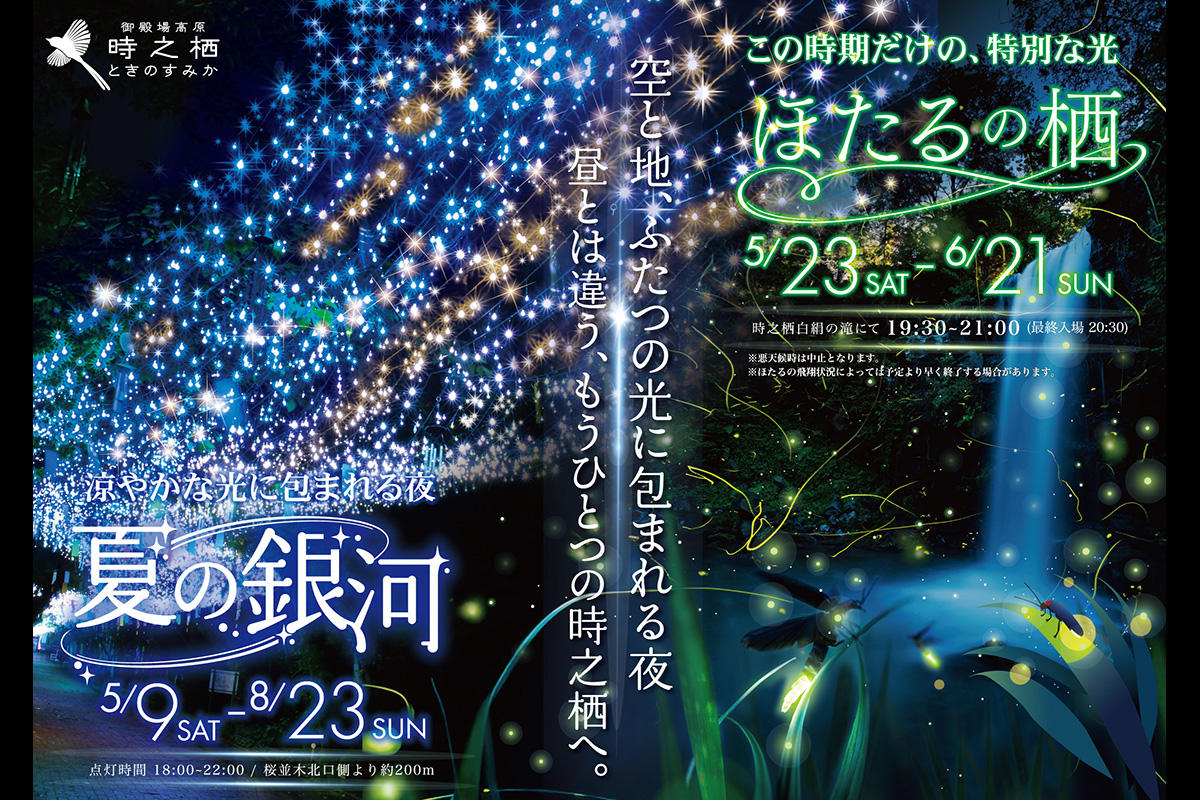 【2026】御殿場高原 時之栖で夏の夜を彩る2大イベント「夏の銀河」「ほたるの栖」開催