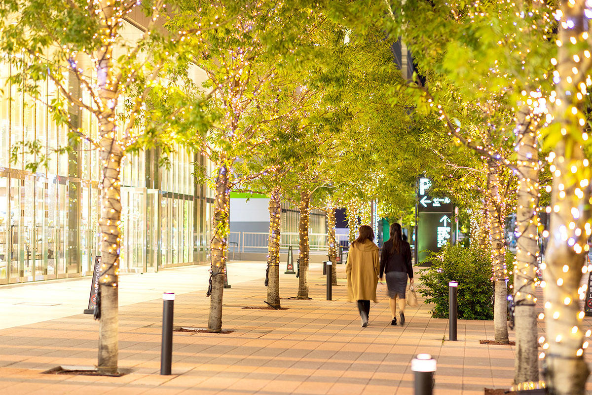 pic_ariake-garden-winter-illuminations202602.jpg