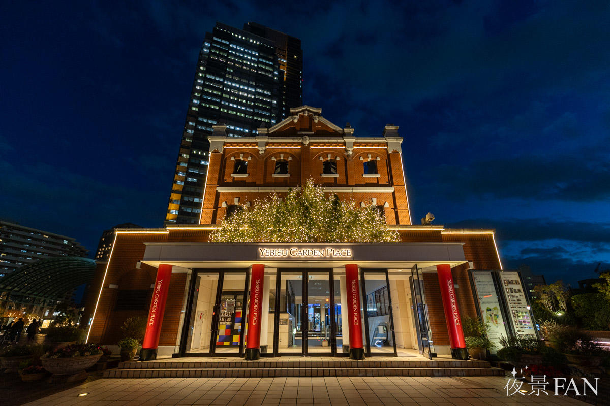 pic_ebisu-illumination202502.jpg