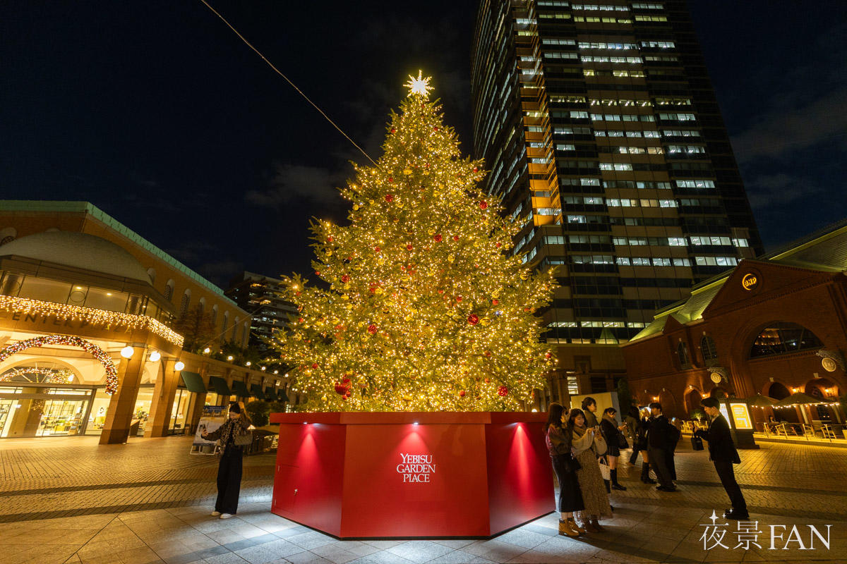 pic_ebisu-illumination202504.jpg