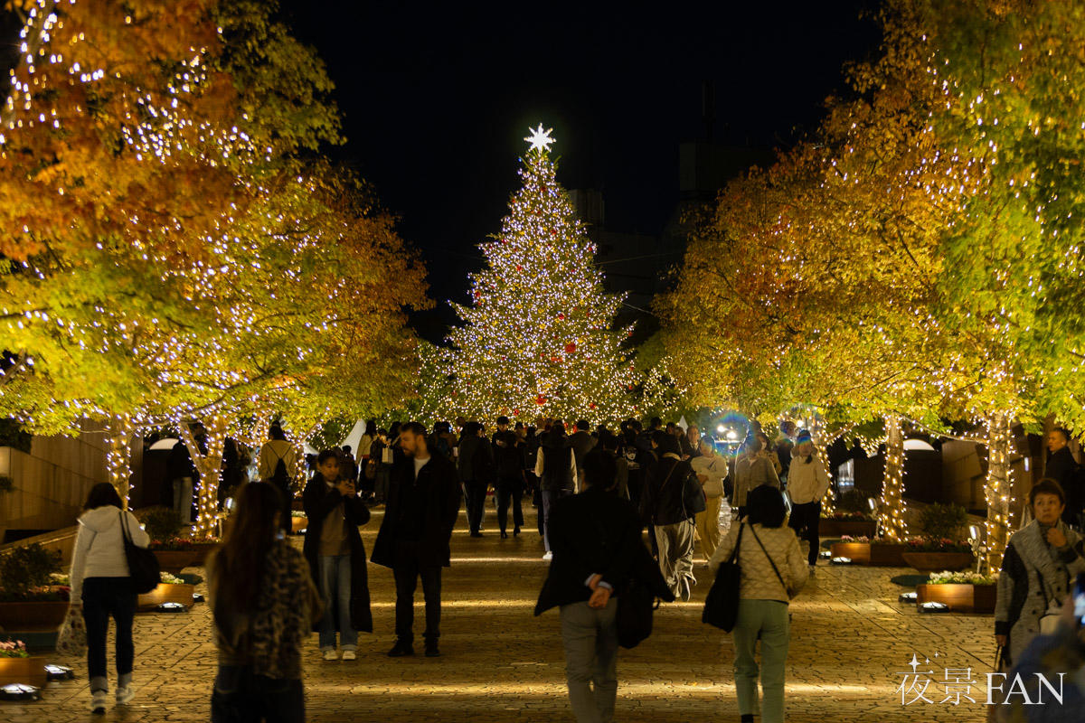 pic_ebisu-illumination202507.jpg