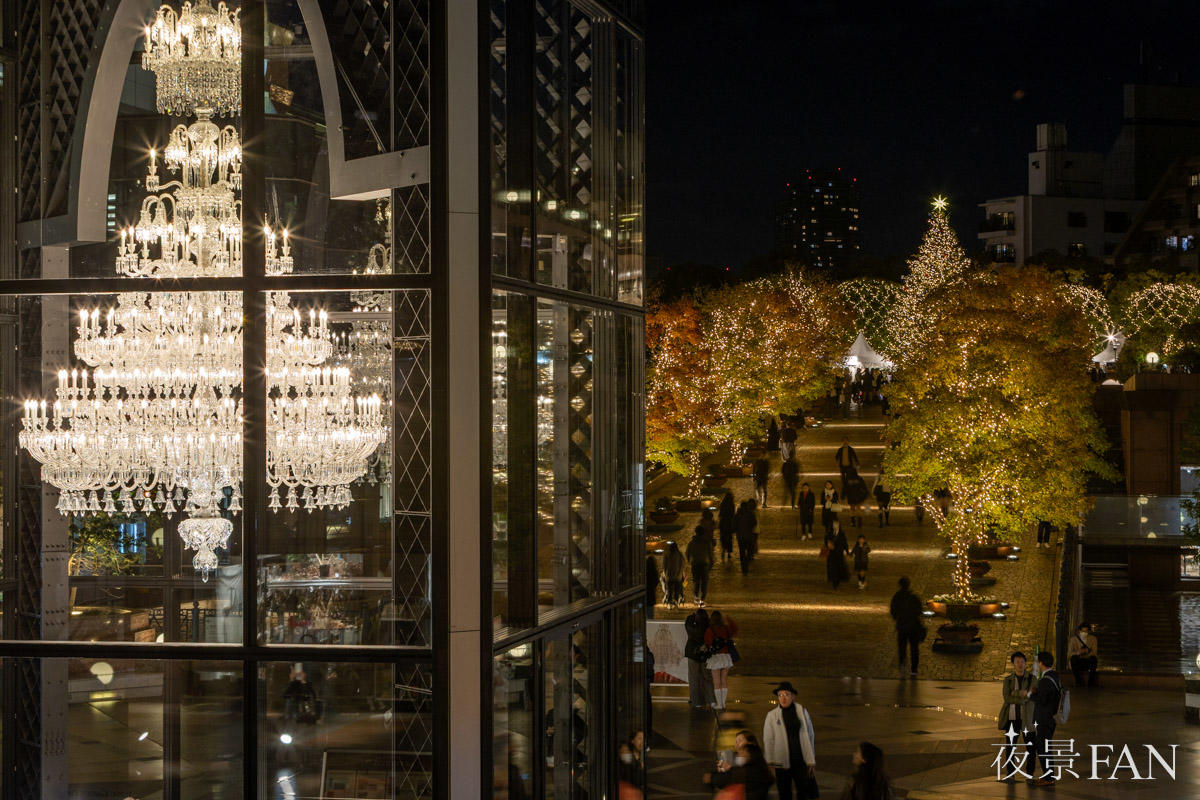 pic_ebisu-illumination202511.jpg