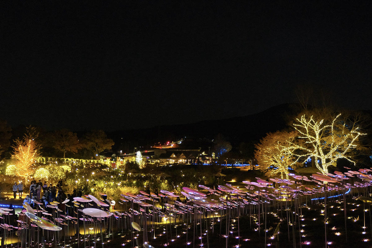 pic_flowerpark-Illumination20241204.jpg