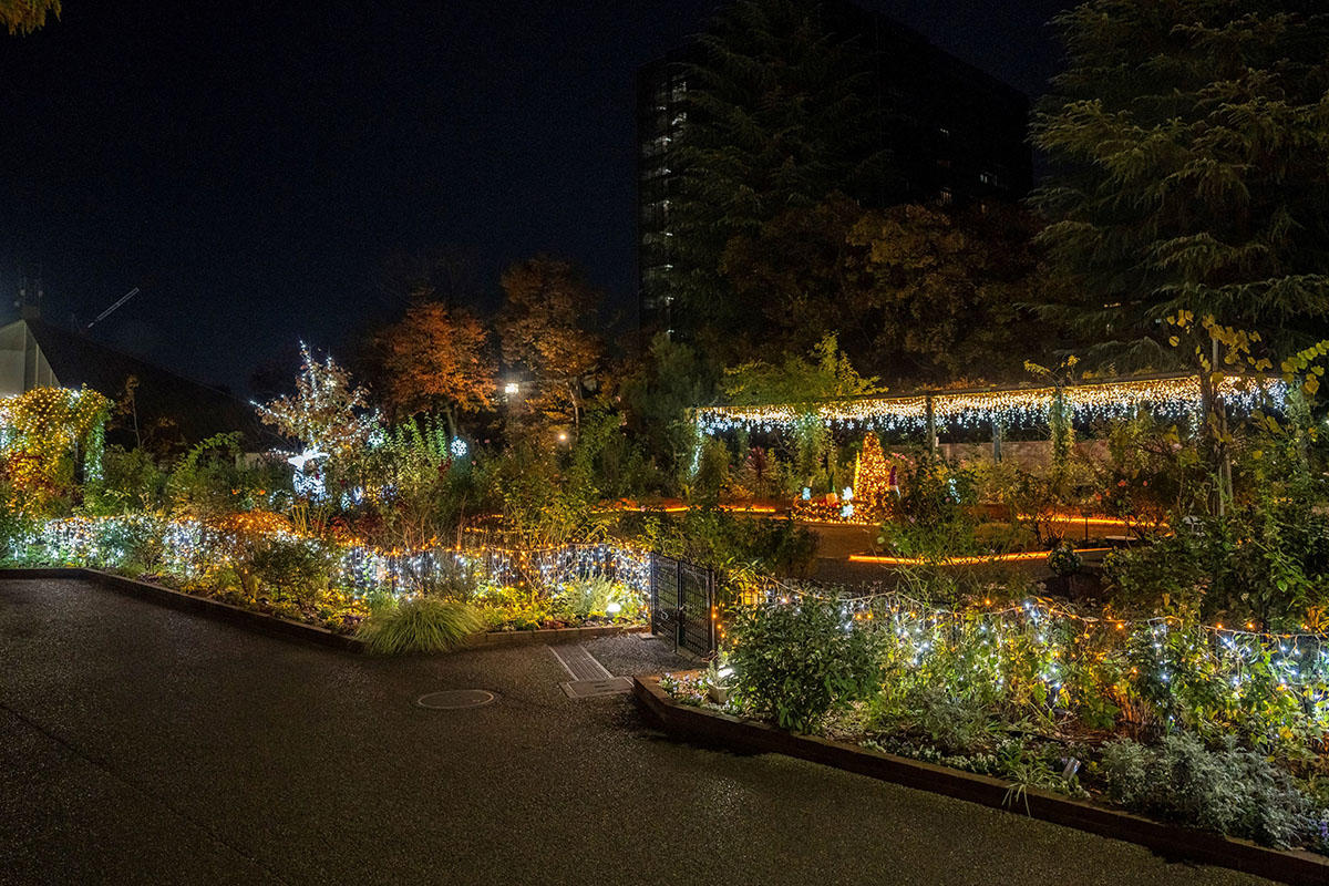 pic_shikinokaori-rose-garden-illumination202402.jpg