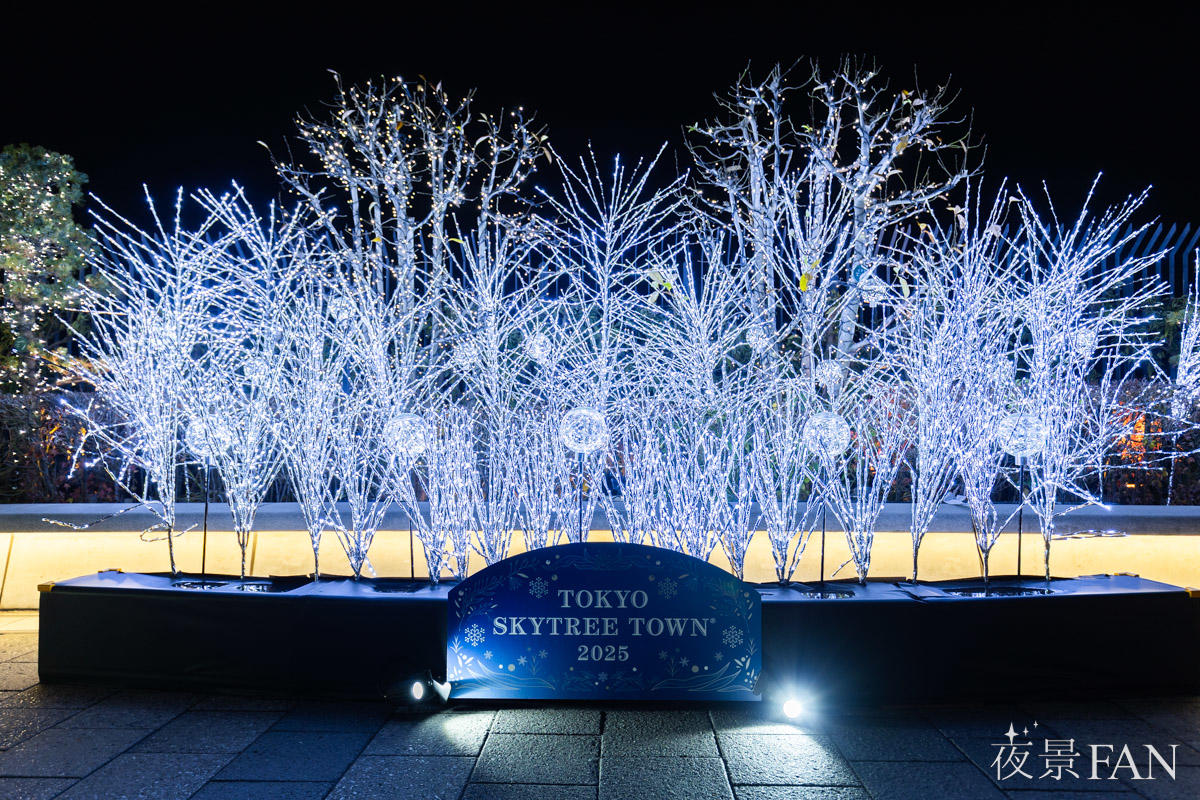 pic_skytree-illumination2025report04.jpg
