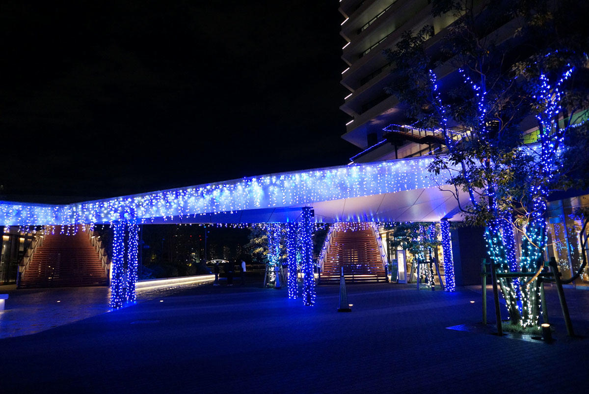 pic_waters-takeshiba-illumination202402.jpg