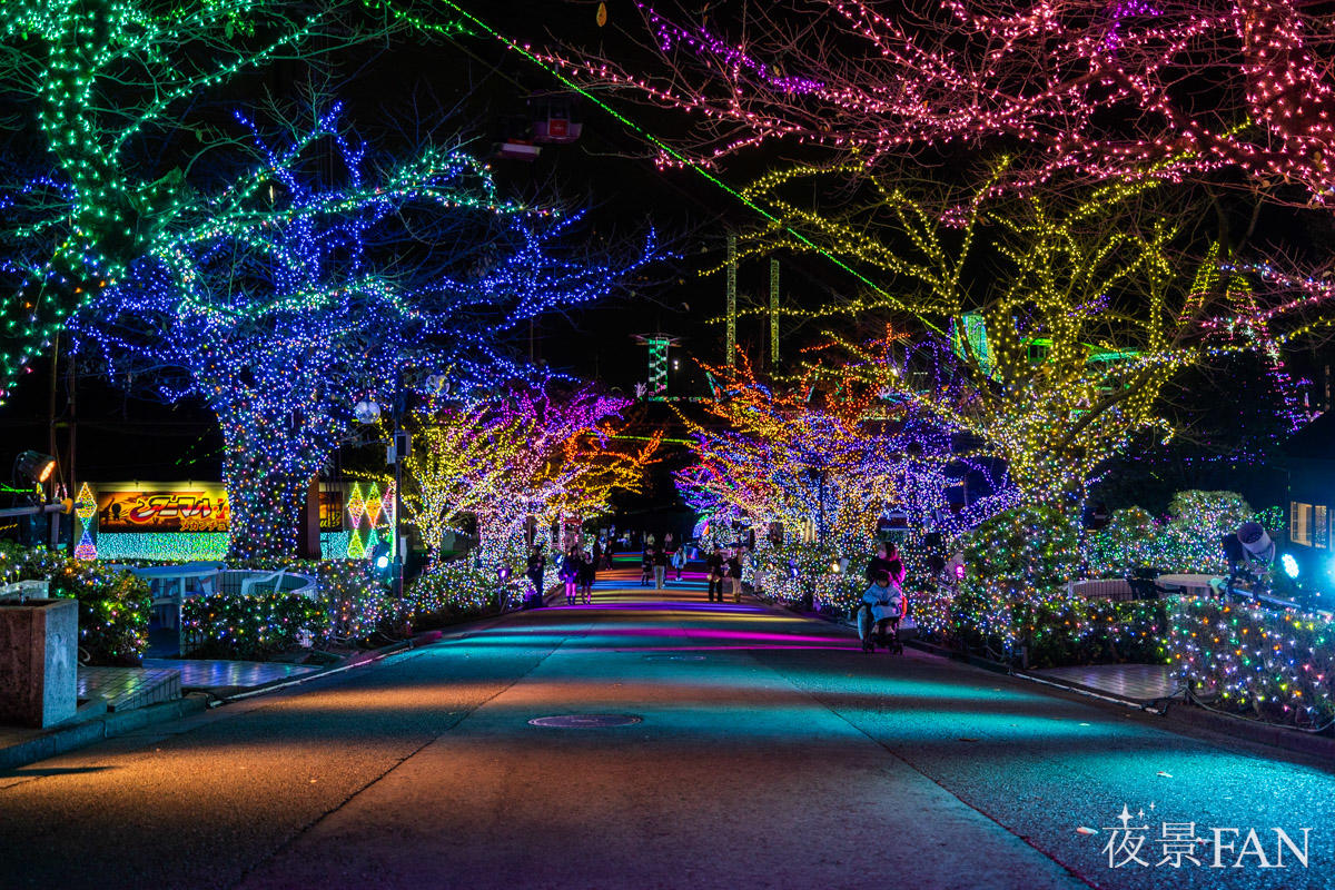 pic_yomiuriland-jewellumination2026report08.jpg