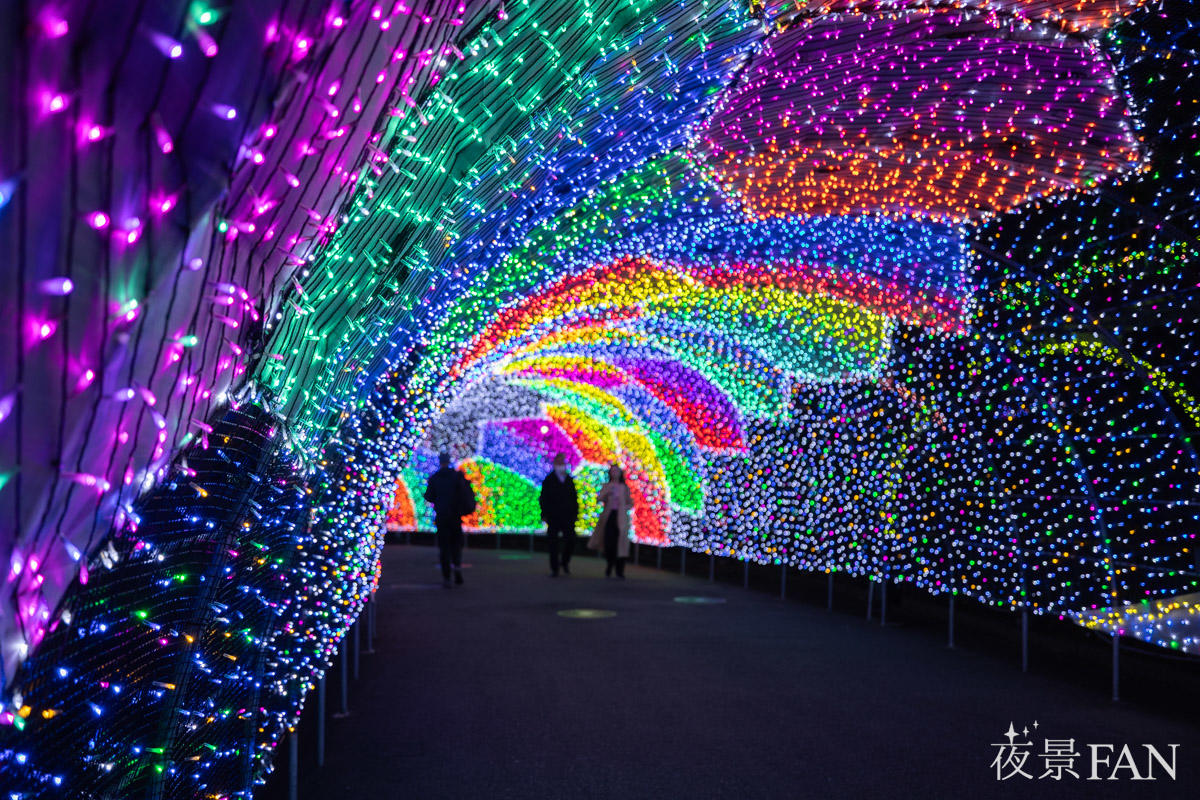 pic_yomiuriland-jewellumination2026report10.jpg