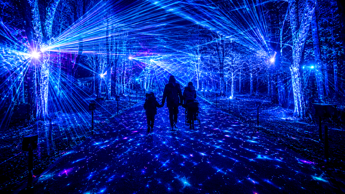pic_yoyogi-forest-of-lights202603.png