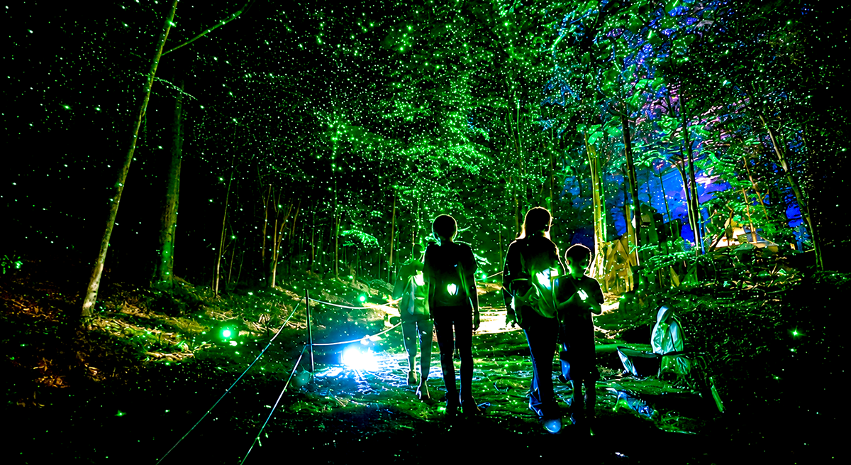 pic_yoyogi-forest-of-lights202604.png