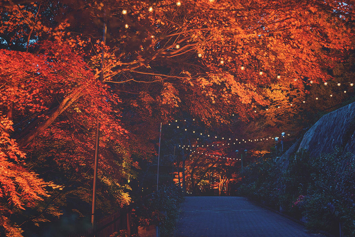 pic_nunobiki-herbgarden-momiji202602.jpg
