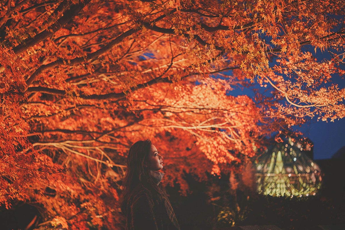 pic_nunobiki-herbgarden-momiji202603.jpg