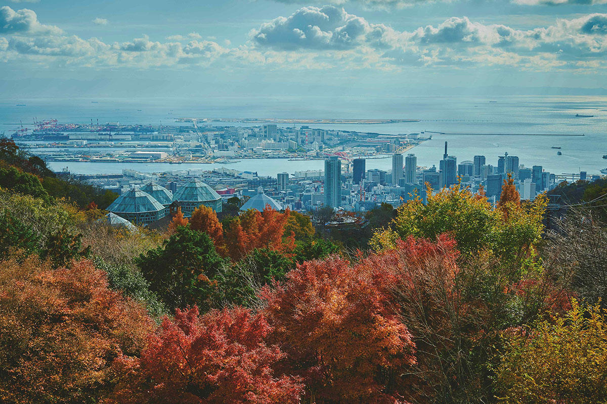 pic_nunobiki-herbgarden-momiji202605.jpg