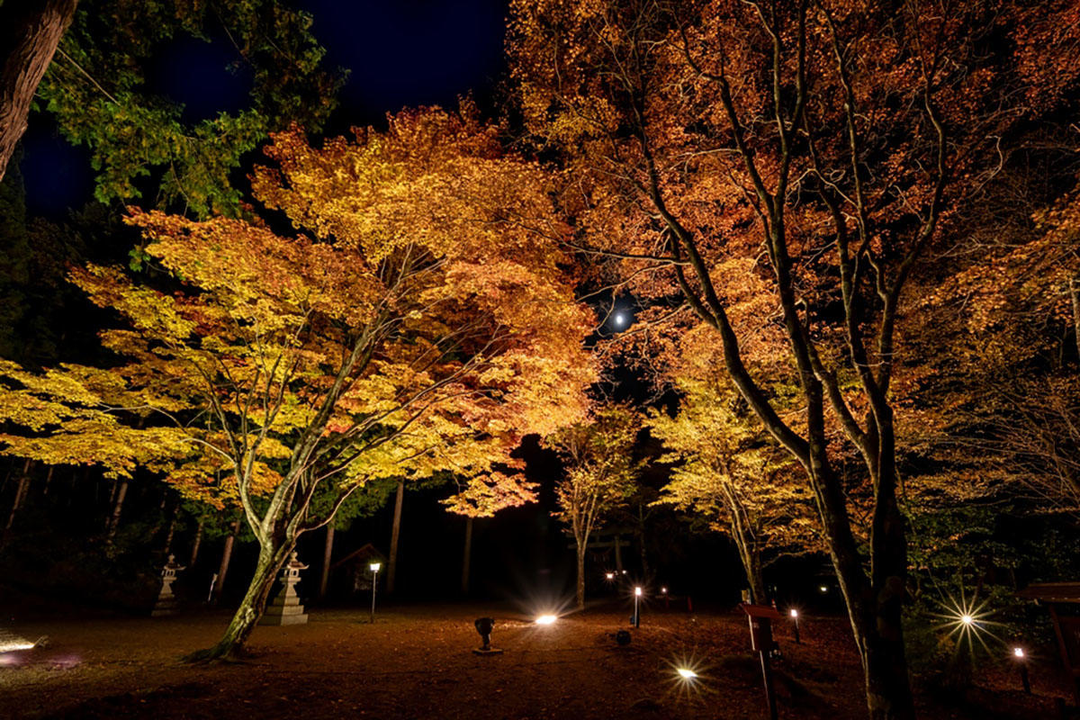 pic_okuhida-koyo202502.jpg