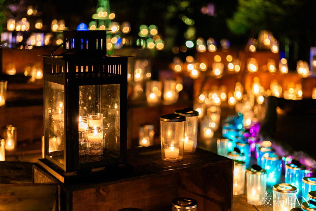 pic_enoshima-candle202503.jpg