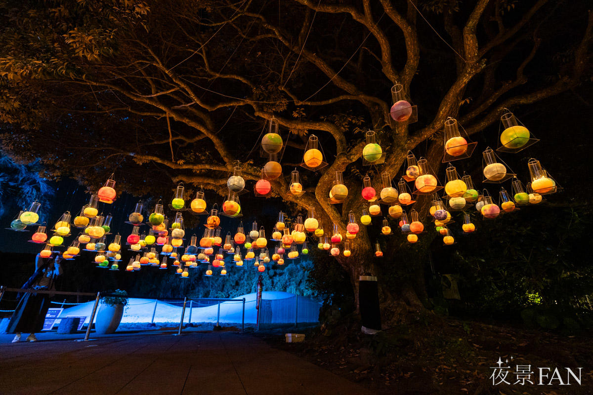 pic_enoshima-candle202505.jpg