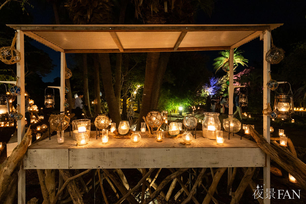 pic_enoshima-candle202506.jpg