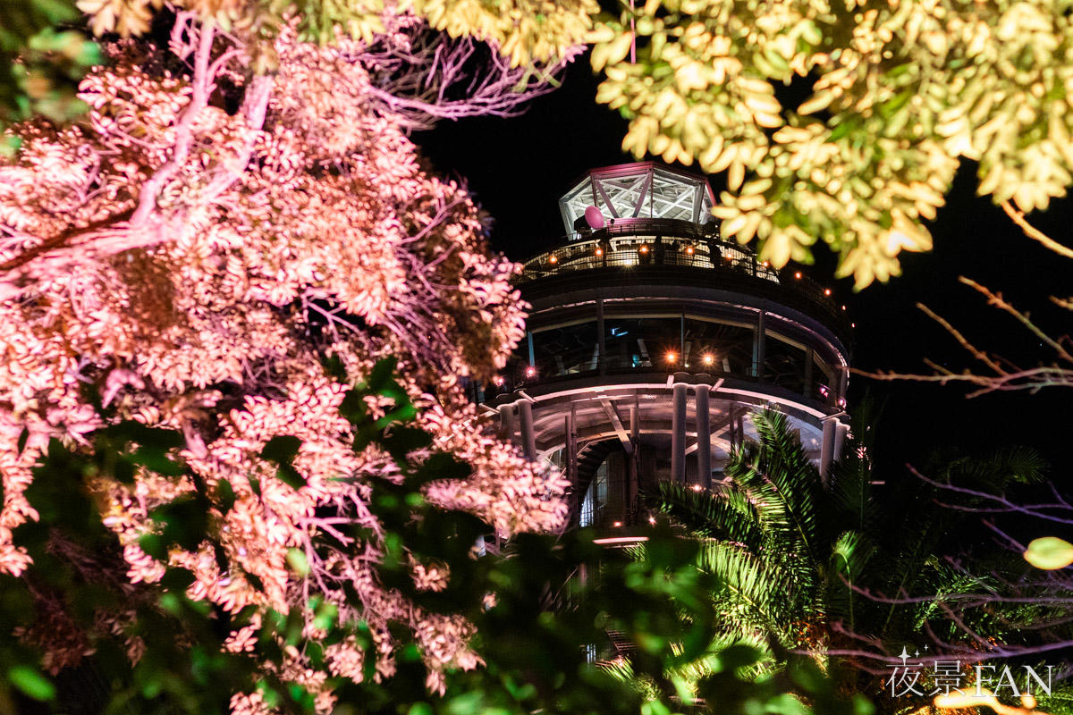 pic_enoshima-candle202509.jpg