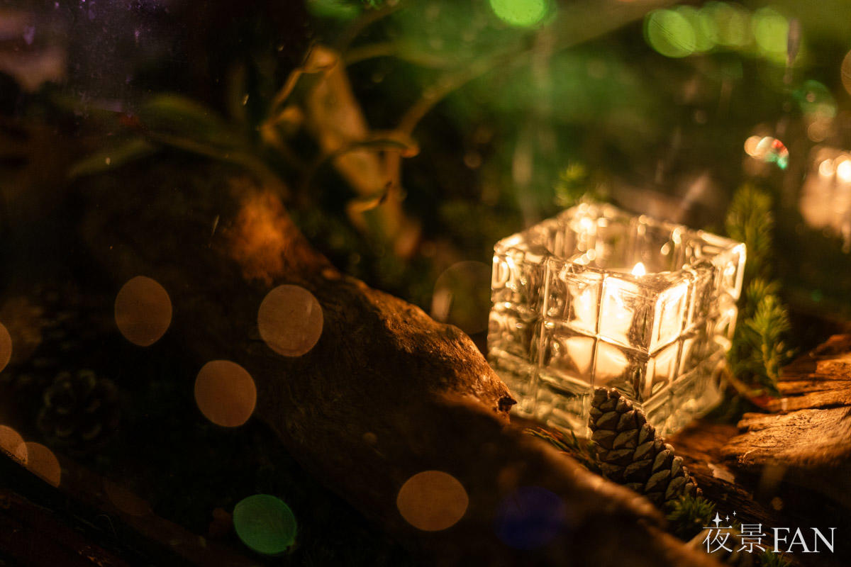 pic_enoshima-candle202515.jpg