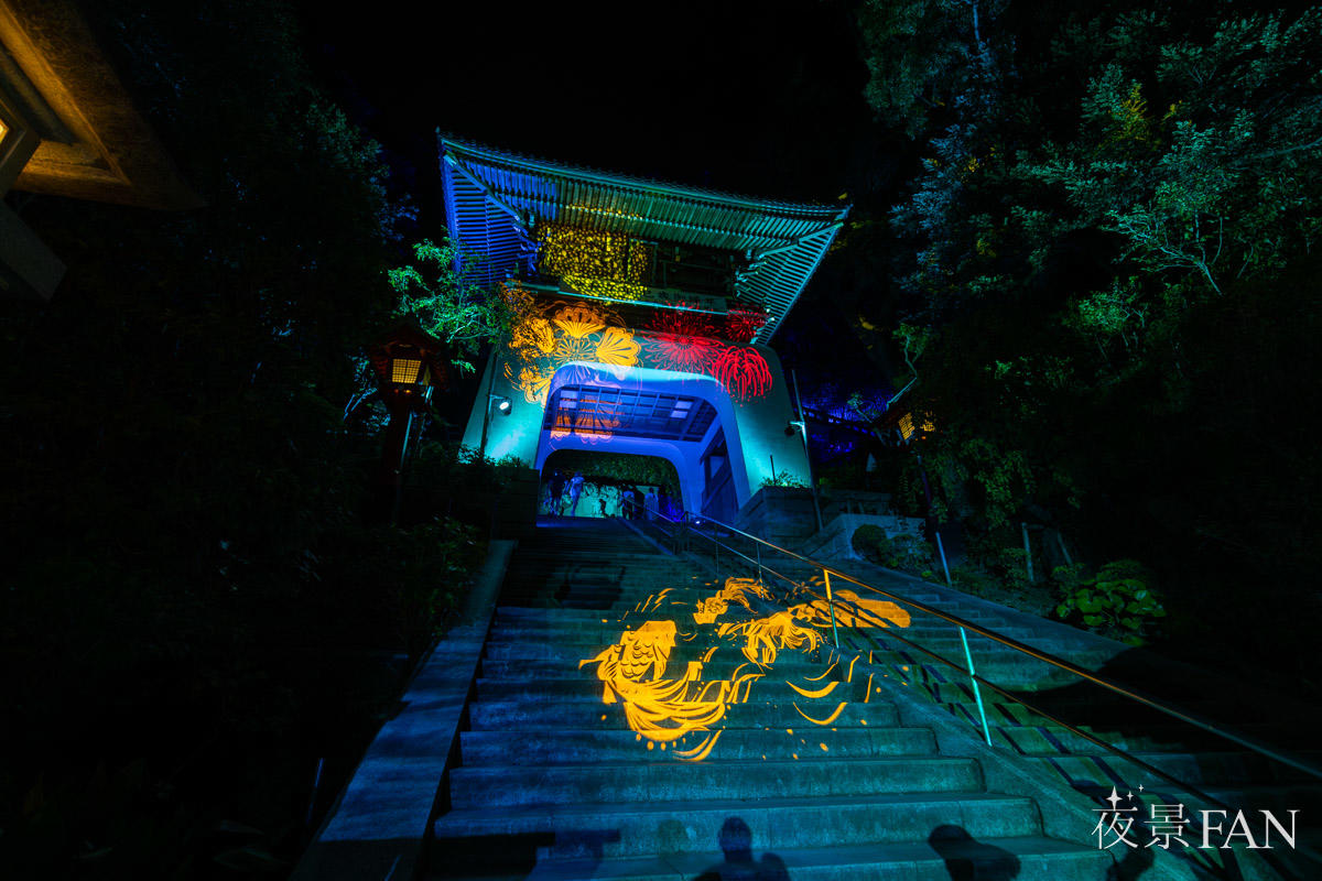 pic_enoshimatourou202502.jpg