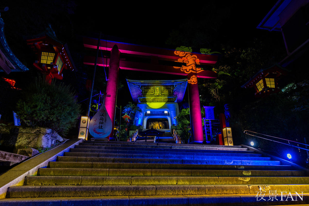 pic_enoshimatourou2026report03.jpg
