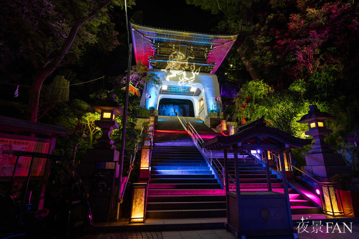 pic_enoshimatourou2026report04.jpg