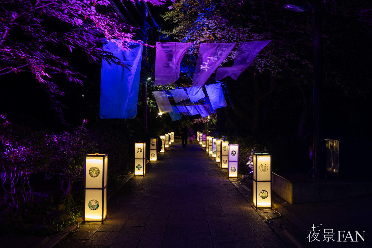 pic_enoshimatourou2026report11.jpg