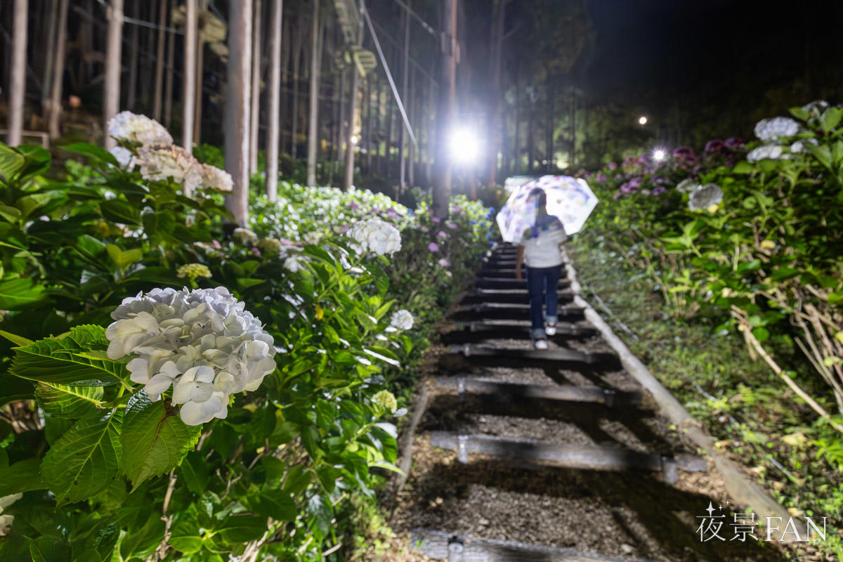 pic_mishima-skywalk-lightup202511.jpg