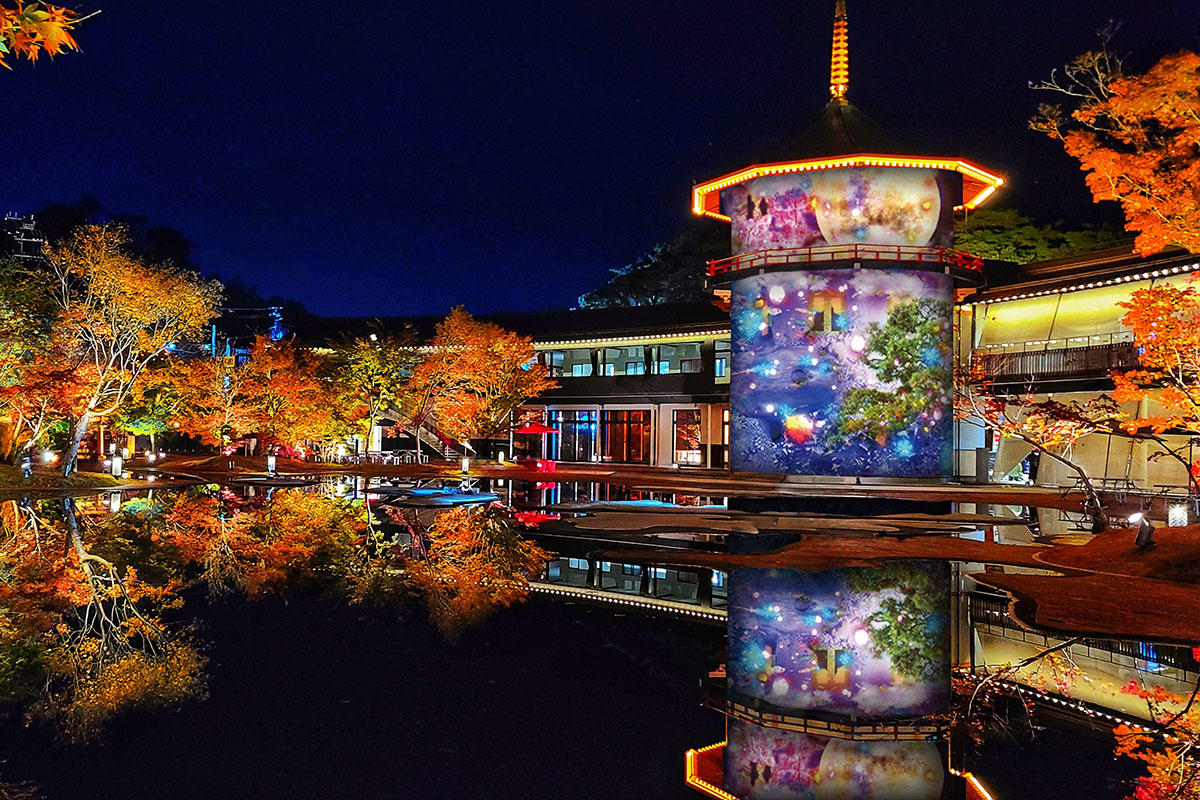 pic_rikyu-lightup-koyo202504.jpg