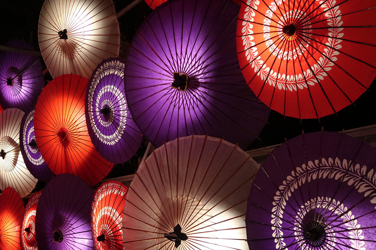 pic_rikyu-lightup-koyo202505.jpg