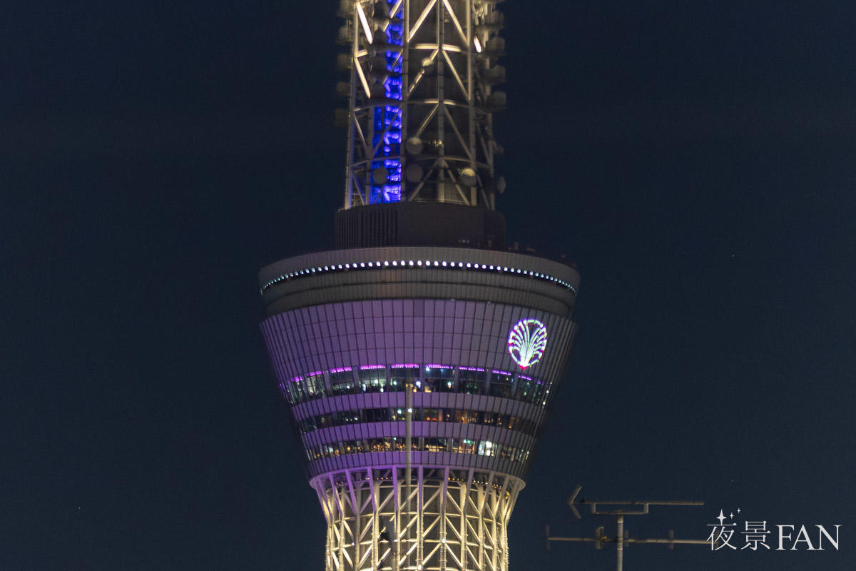 pic_sumida-hanabi-skytree202504.jpg