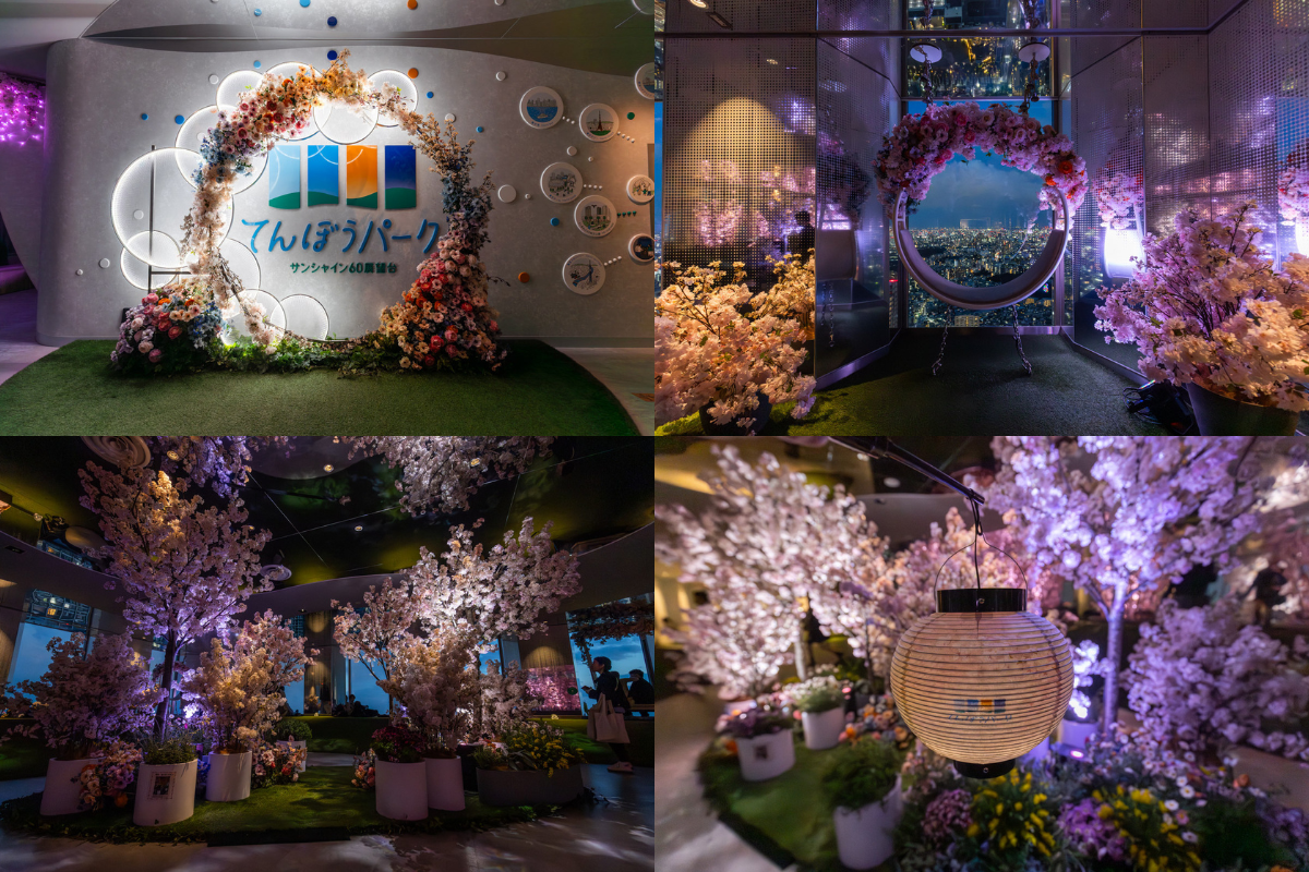 【2026】GWに東京で夜桜体験！？てんぼうパーク さくらまつり　現地レポート
