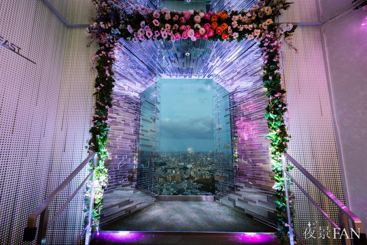 てんぼうパーク さくらまつり2026のミラーエリア。花に囲まれたミラートンネルの奥に東京の夜景が広がる