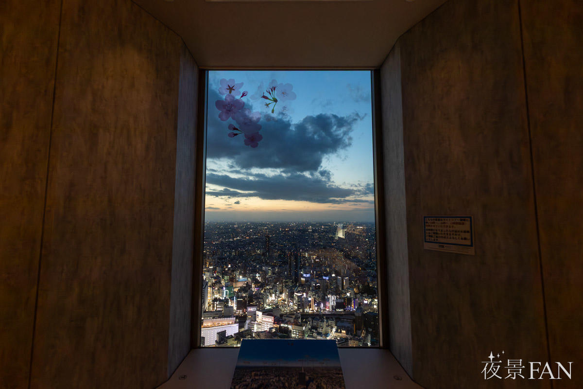 てんぼうパーク さくらまつり2026の窓。窓ガラスに桜の花びらが描かれ、その先に渋谷方面の夜景が広がる