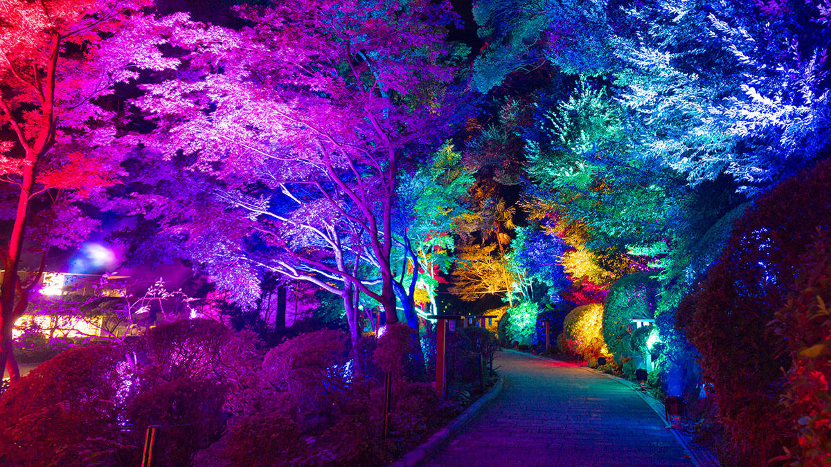 pic_yoru-umijigoku202603.jpg