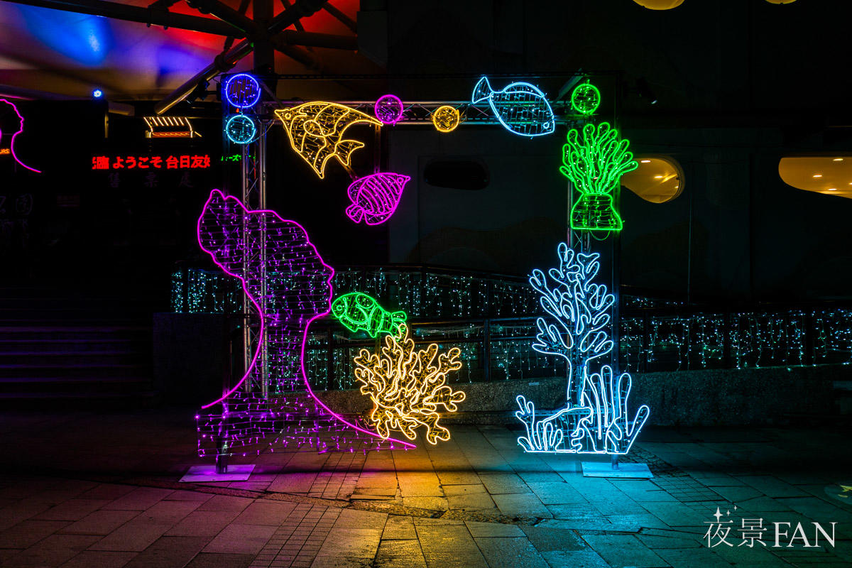 pic_yeliu-lightup202502.jpg