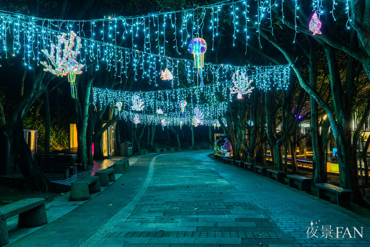 pic_yeliu-lightup202503.jpg