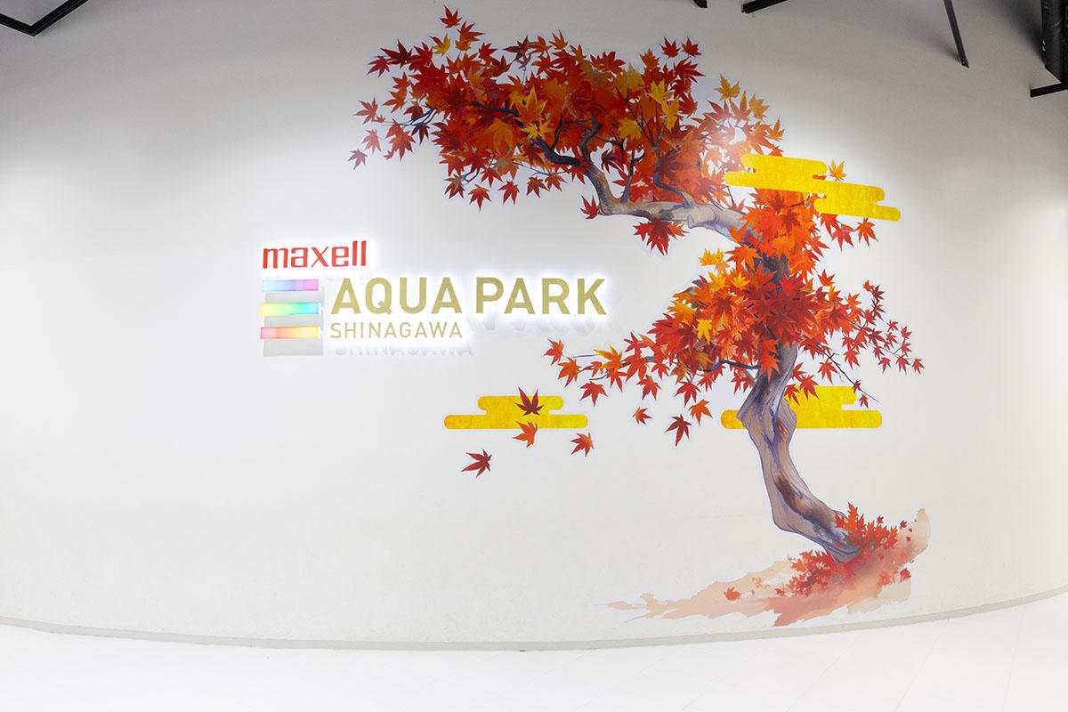 pic_aquapark-momiji202401.jpg