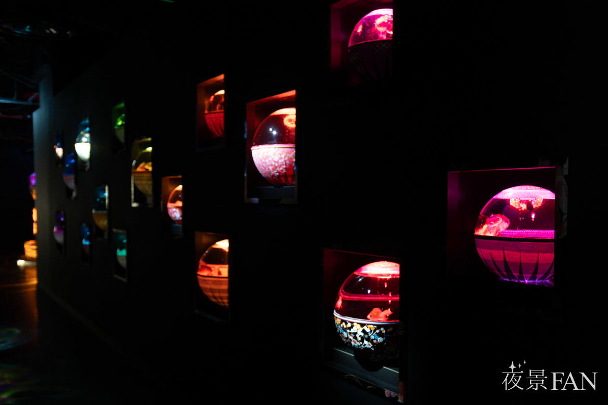 pic_artaquarium-autumn2025report02.jpg