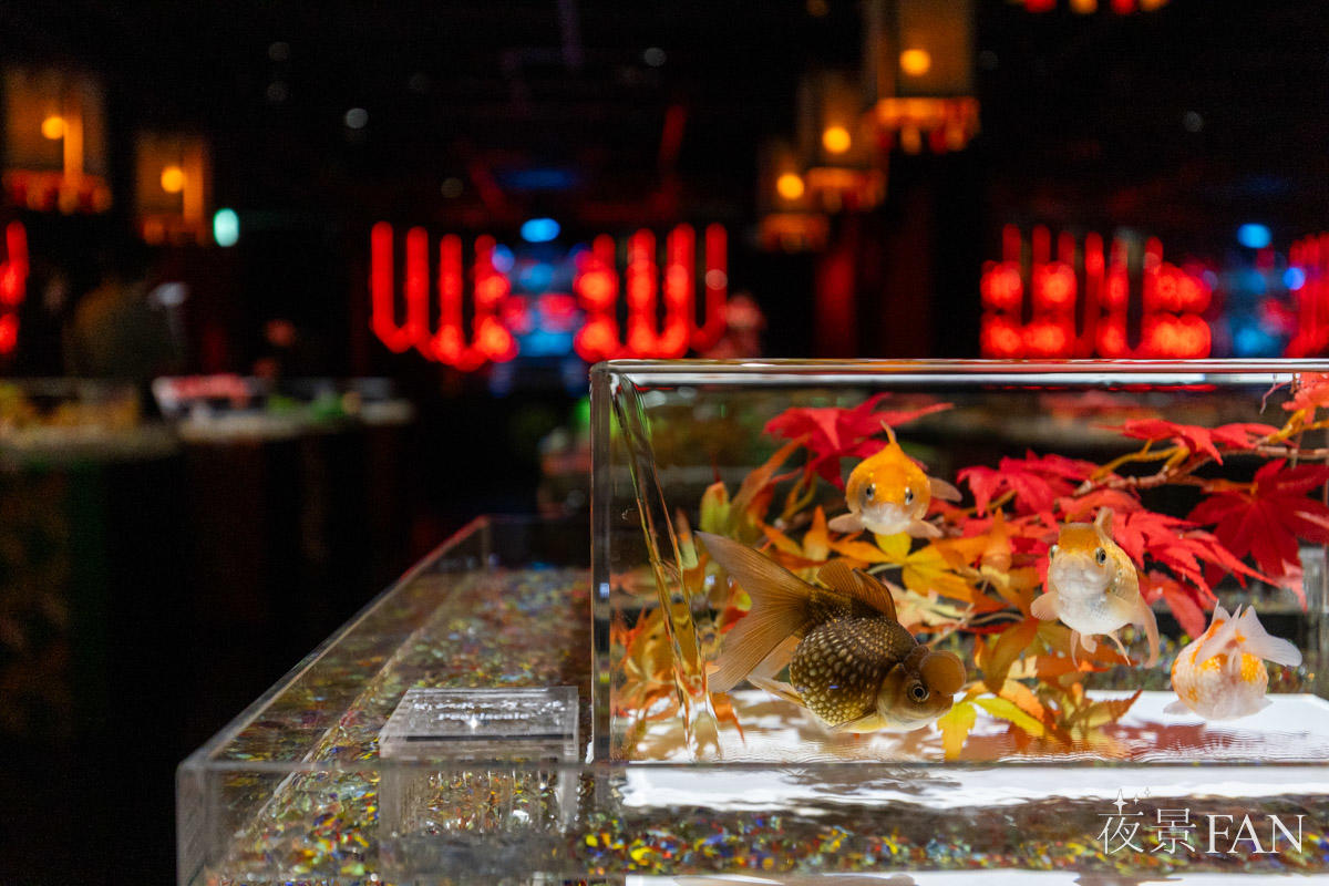 pic_artaquarium-autumn2025report05.jpg