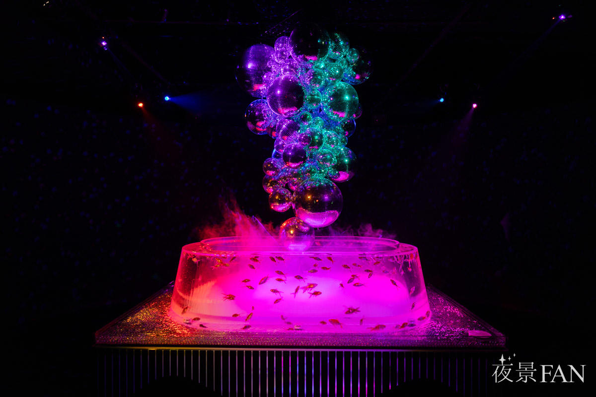 pic_artaquarium-autumn2025report11.jpg