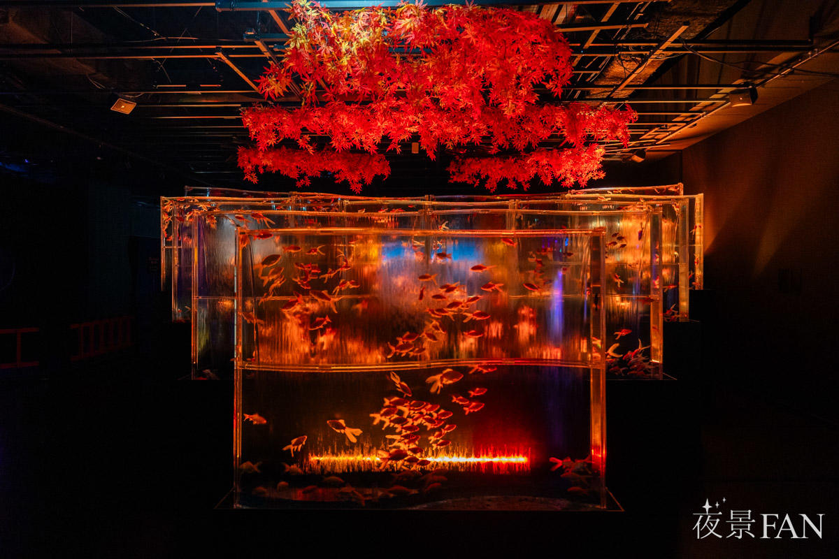 pic_artaquarium-autumn2025report12.jpg