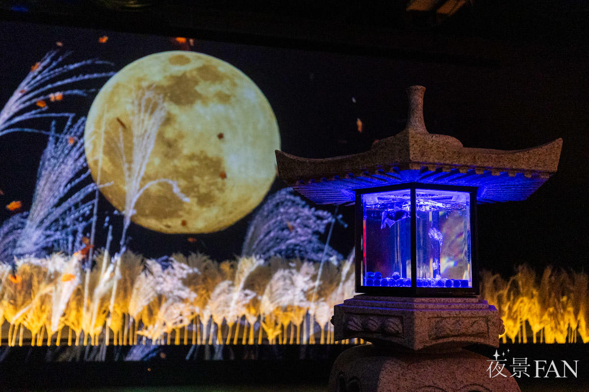 pic_artaquarium-autumn2025report13.jpg