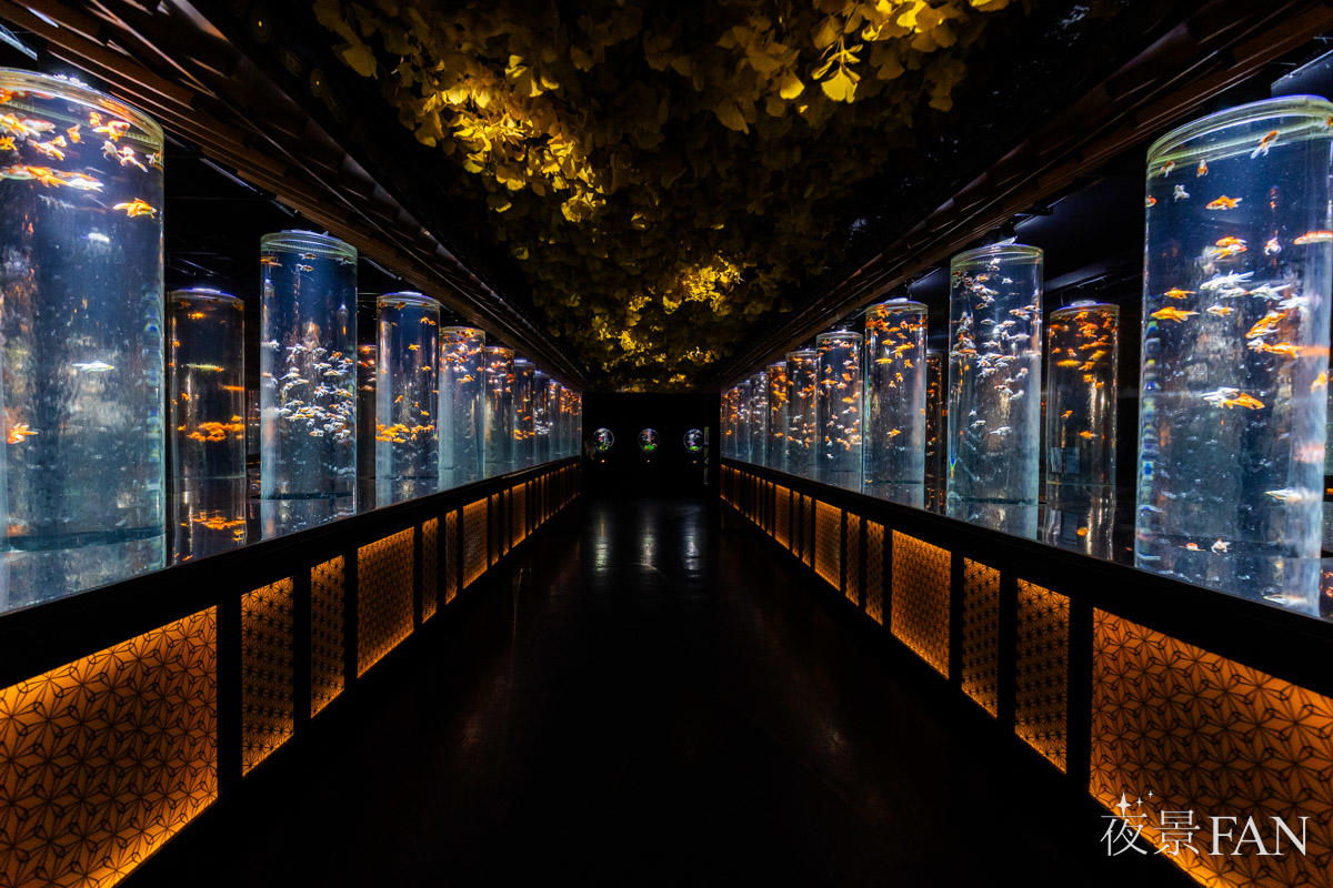 pic_artaquarium-autumn2025report14.jpg