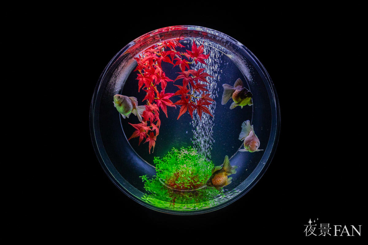 pic_artaquarium-autumn2025report15.jpg