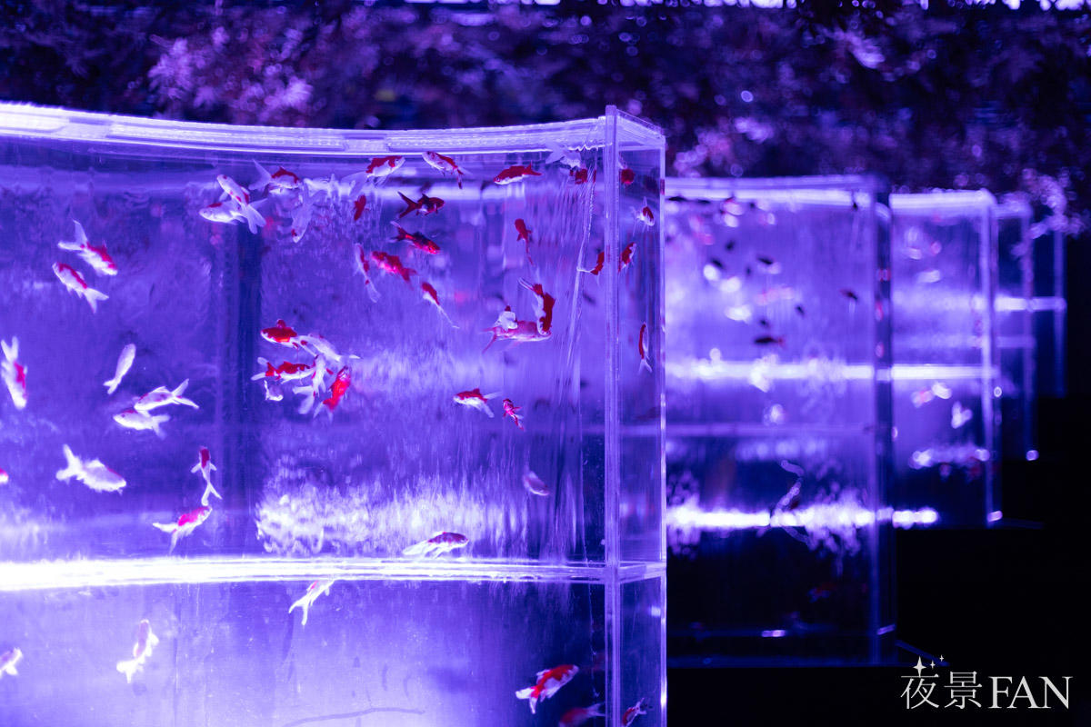 pic_artaquarium-saitama2026report09.jpg