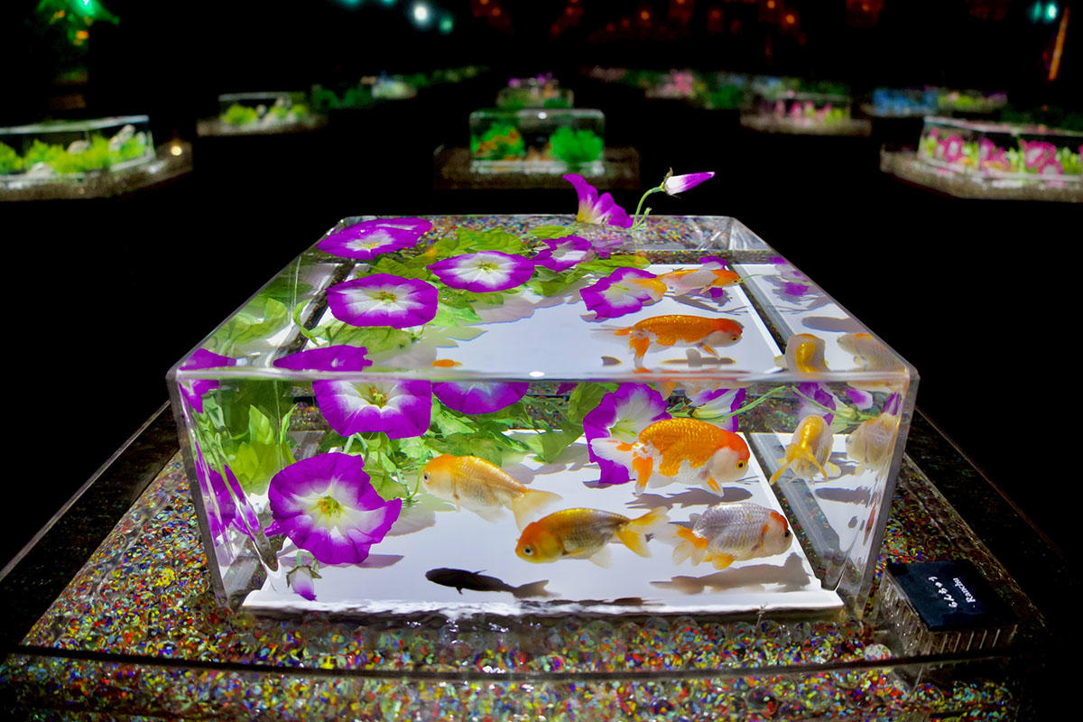 pic_artaquarium-summer2026report04.jpg