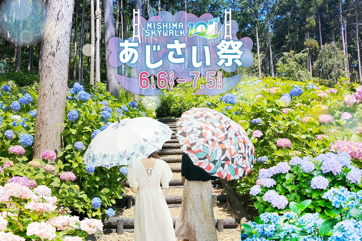 三島スカイウォーク『あじさい祭』2026年開催！215種類・13,000株のあじさいと夜のライトアップも